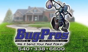 bugpros termite and pest control, bugpros, bug pros, bug pros pest control, pest control, ants, termites, spiders, mice, rats, bed bugs, stink bugs, fleas, ticks, beetles, roaches, bees, centipedes, insects, wood destroying insects, hornets, hornets nest, bugs, bug, pest, pest control, snakes, snake removal, general pest control, rodent control, exterminator, one time service, carpenter ant, earwigs, commercial pest control, residential, flying insects, termite inspection, WDI reports, real estate reports, termidor, pest control treatment, nova, northern Virginia, Hillsboro, Round Hill, bluemont, Waterford, lucketts, Lovettsville, Purcellville,Hamilton, Leesburg, Ashburn, Sterling, Brambleton, Herndon, Reston, Chantilly, Mclean, Vienna, Loudoun county, Fairfax county, free inspections, free estimates, local, pest control problem, quarterly service, liquid treatment, termite bait system, certified, certified technicians, licensed technician, same day service,